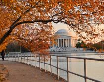 view of the Jefferson Memorial with fall foliage in the foreground