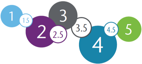 Aon Risk Maturity Index