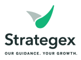 Strategex: Our Guidance. Your Growth