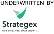 Strategex is an 80/20 management consultancy that consistently delivers one thing: measurable ROI.